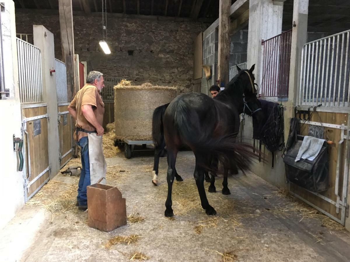 Ferme Gite Equestre En Charente Конфолан Экстерьер фото