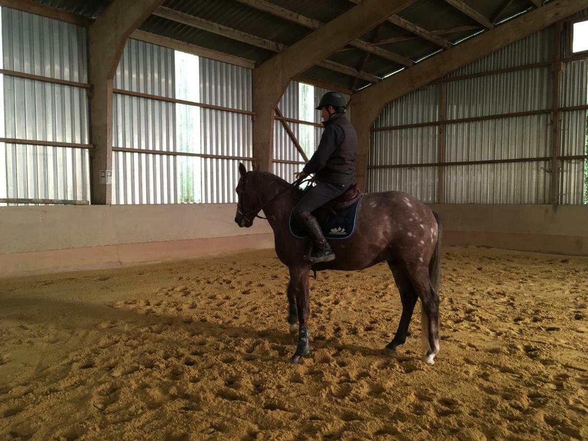 Ferme Gite Equestre En Charente Конфолан Экстерьер фото